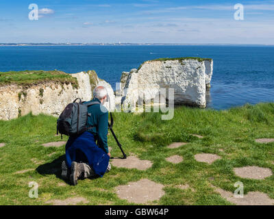 Fotograf unter Old Harry Rocks in Swanage Bay, in der Nähe von Handfast Point, Isle of Purbeck, Dorset, Großbritannien Stockfoto