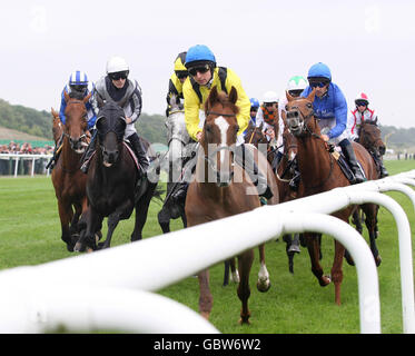 Racing - John Smiths Northumberland Plate - Newcastle Racecourse Stockfoto