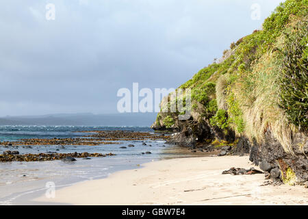 Enderby Insel, Auckland-Inseln, Neuseeland Stockfoto