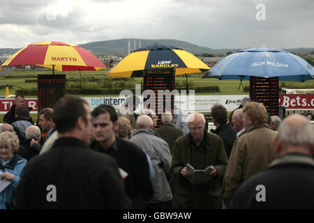 Pferderennen Sie - Wye Valley Brauerei Tag - Hereford Rennbahn Stockfoto