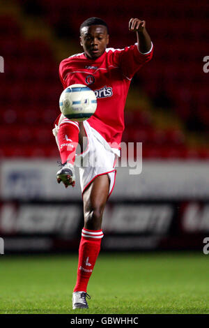 Fußball - Barclaycard Reserve League South - Charlton Athletic V West Ham United Stockfoto