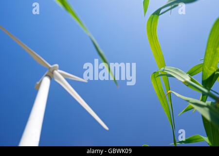 Windrad zur Stromerzeugung, Pozuelo de Aragon, Zaragoza Provinz, Aragon, Spanien. Stockfoto