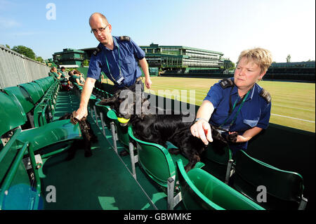 Ein Sniffer-Hund findet einen Tennisball, als er während der Wimbledon Championships im All England Lawn Tennis and Croquet Club, Wimbledon, London, Platz 14 überprüft. Stockfoto