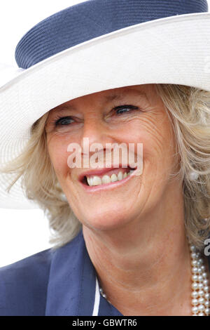 Camilla stellt Kampagne Medaillen für Mediziner Stockfoto