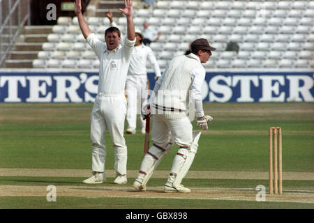 Cricket - Britannic Assurance County Championship 1990 - Surrey V Middlesex - The Oval. Middlesex feiert, nachdem Surreys David ward vor Phil Tufnell gefangen wurde (nicht abgebildet) Stockfoto