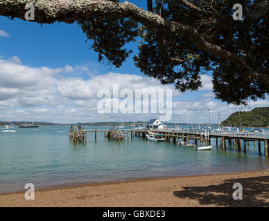 Strand am Russell Steg, Bucht der Inseln, Neuseeland Stockfoto