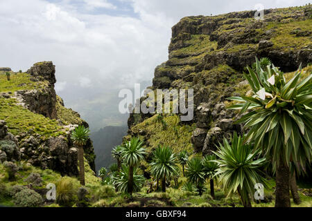 Blick durch eine Schlucht in den Simien Mountains Nationalpark, Äthiopien Stockfoto