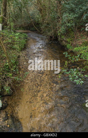 Klarer Bach in Lostwihiel, Mitte Cornwall. Süßwasserbach, Wasserquelle. Wasser als Rohstoff, Wasserpreis, Wasserhandelsmarkt. Stockfoto