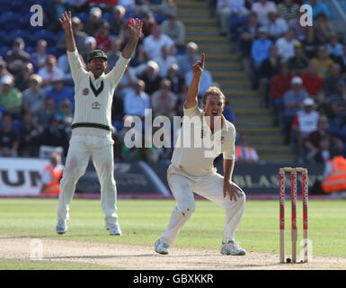 Der australische Bowler Nathan Hauritz appelliert vergeblich an Kapitän Ricky Ponting (links), Aleem dar in den letzten Übernahmen an den englischen Batman James Anderson während des fünften Tages des ersten Npower-Test-Spiels in Sophia Gardens, Cardiff, zu überbieten. Stockfoto