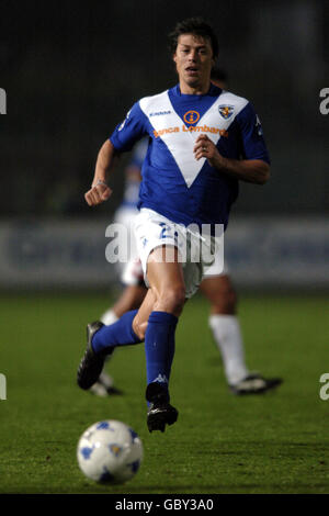 Fußball - Italienische Serie A - Brescia V Siena. Matias Almeyda, Brescia Stockfoto