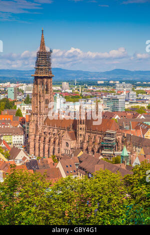 Historische Stadt von Freiburg Im Breisgau mit berühmten Freiburger Münster Kathedrale im Sommer, Baden-Wurttemberg, Deutschland Stockfoto