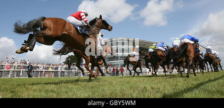 Pferderennen - Galway Summer Festival - Tag Drei - Galway. Pferde räumen die letzte Handicap-Hürde Williamhill.com während des Sommerfestivals auf der Galway Racecourse, Galway. Stockfoto