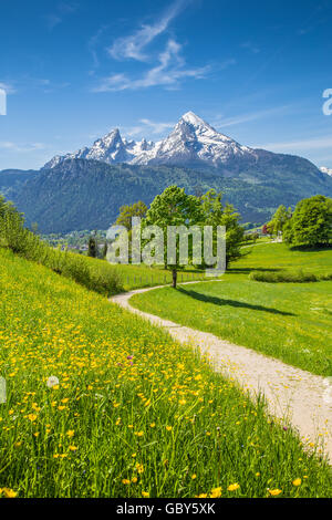 Idyllische Landschaft in den Alpen mit frischen grünen Almen und schneebedeckten Berggipfeln im Hintergrund im Sommer Stockfoto