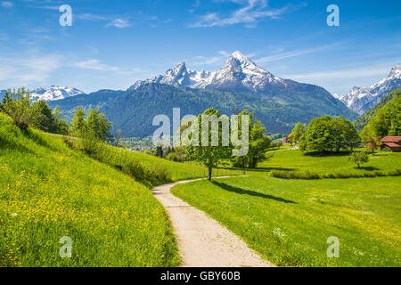 Idyllische Landschaft in den Alpen mit frischen grünen Almen und schneebedeckten Berggipfeln im Hintergrund im Sommer Stockfoto