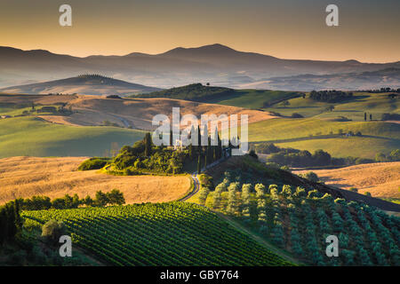 Malerische Toskana-Landschaft mit sanften Hügeln und Tälern im goldenen Morgenlicht bei Sonnenaufgang im Sommer, Val d ' Orcia, Italien Stockfoto