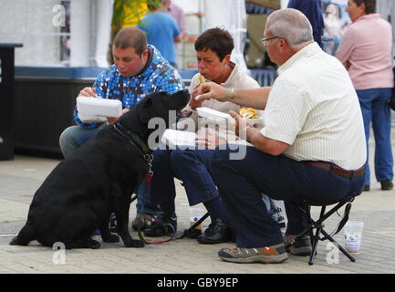 Während der Cowes Week, der weltbekannten Segelregatta, die jedes Jahr auf der Solent stattfindet, empfängt ein Hund ein Stück Fisch von seinem Besitzer, während er Fisch und Chips in Cowes Yacht Haven isst. Die Organisatoren haben heute aufgehört, den Zuschauern wegen mangelnden Handels den Eintritt zu den Abendfesten zu berechnen. Stockfoto