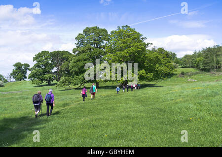 dh Cotswold Way Wanderer COTSWOLDS GLOUCESTERSHIRE Fußweg Wanderer im Sommer Wandern Wanderer Gruppe Wanderfeld Wanderweg Wanderer england Menschen großbritannien Stockfoto