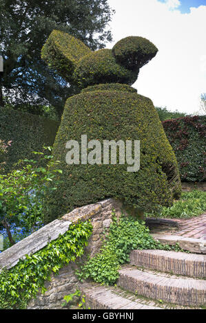 dh Taxus baccata Tree YEW TREES UK ENGLAND Topiary Englisch Gartenhecke auf dem Land Stockfoto