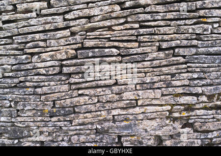 dh Cleeve Hill COTSWOLDS GLOUCESTERSHIRE Belas Knapp Steinzeit Dolmen Grabkammer Mauerwerk Muster Stockfoto