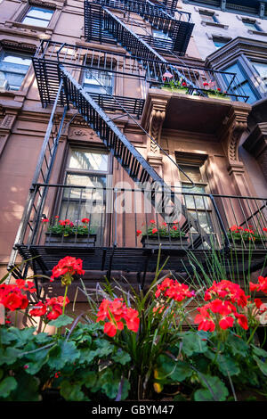 Rote Geranien in einem Blumenkasten erhellen die Vorderseite eines Brownstone Gebäude mit Feuerleiter in Brooklyn Heights Stockfoto