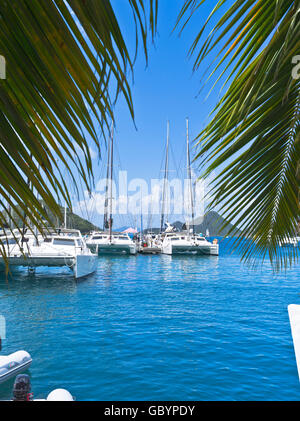 Dh Sopers Loch TORTOLA KARIBIK Yacht Marina Luxus Katamaran Boote bvi Hafen British Virgin Islands Stockfoto