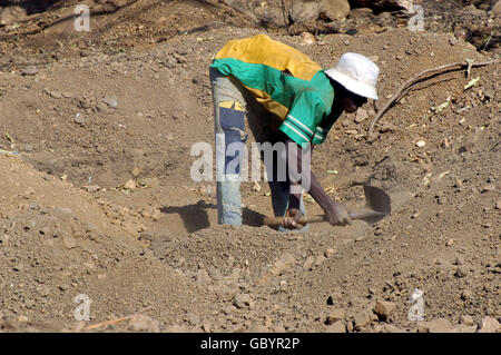 mir in wilden golden Poura Goldgräber kommen von überall her nach gold-Nuggets mit einfachen Schalen Graben Stockfoto