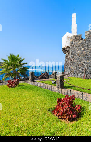 Grünen Garten in Burg San Miguel de Garachico, Teneriffa, Kanarische Inseln, Spanien Stockfoto