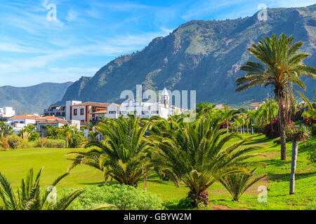 Tropische Palmen in Berglandschaft der Norden von Teneriffa mit Buenavista del Norte Stadt in Ferne, Kanarische Inseln, Spanien Stockfoto