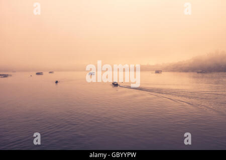 Boot auf dem See im Morgennebel. Stockfoto