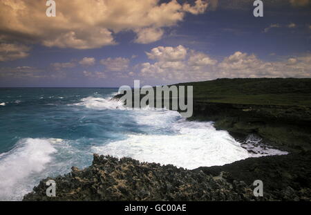 die Küste am Dorf von Punta Cana in der Dominikanischen Republik in der Karibik, in Lateinamerika. Stockfoto
