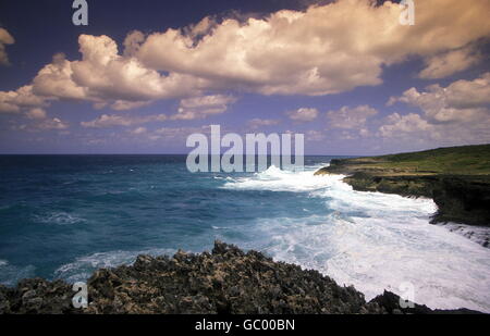 die Küste am Dorf von Punta Cana in der Dominikanischen Republik in der Karibik, in Lateinamerika. Stockfoto