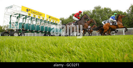 Das Feld verlässt die Stände für den Start des European Breeders' Fund Selsey Maiden Stakes während des glorreichen Goodwood Festivals auf der Goodwood Rennbahn, Chichester. Stockfoto