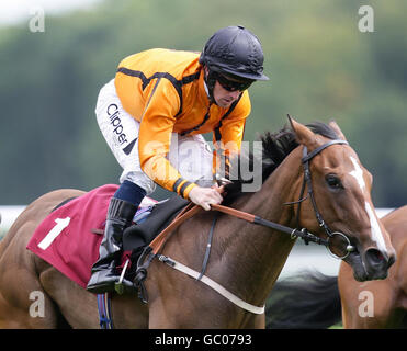 Pferderennen Sie - Heiligen RLFC Raceday - Haydock Park Rennbahn Stockfoto