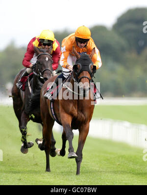 Pferderennen Sie - Heiligen RLFC Raceday - Haydock Park Rennbahn Stockfoto