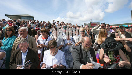 Rennfahrer während des Sommerfestivals auf der Galway Racecourse, Galway. Stockfoto