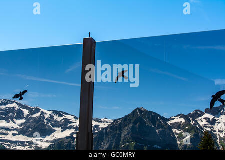 Panoramablick über den Schnee erreichte Alpen in der Schweiz im Sommer von Portes du Soleil Stockfoto