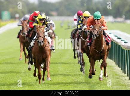 Pferderennen Sie - Heiligen RLFC Raceday - Haydock Park Rennbahn Stockfoto