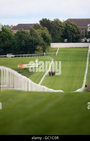 Pferderennen - Italienische Nacht - Hamilton. Allgemeine Sicht auf Läufer und Reiter, die sich auf der Hamilton Racecourse in Richtung Hügel bewegen Stockfoto