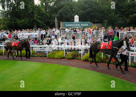 Pferderennen Sie - Vielfalt Club Day - Sandown Park Stockfoto