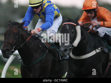 Pferderennen Sie - Sommer-Abend-Racing - Musselburgh Rennbahn Stockfoto