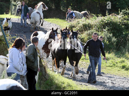 Auld Lamas Fair. Pferdehändler auf der Auld Lamas Fair in Ballycastle, Co Antrim. Stockfoto