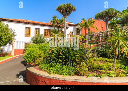 Typische bunte Kanarische Häuser und tropischen Pflanzen in La Orotava Stadt, Teneriffa, Kanarische Inseln, Spanien Stockfoto