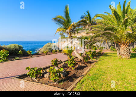 Tropische Palmen Promenade in Küsten Stadt Costa Adeje, Teneriffa, Kanarische Inseln, Spanien Stockfoto