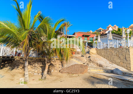 Palmen auf exotischen Strand El Duque in Costa Adeje Stadt, Teneriffa, Kanarische Inseln, Spanien Stockfoto