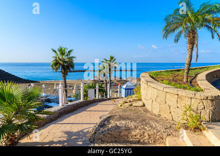 Gehweg mit Palmen, exotischen Strand El Duque in Costa Adeje Stadt, Teneriffa, Kanarische Inseln, Spanien Stockfoto