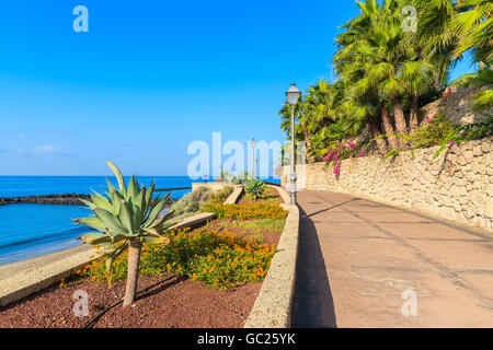 Küstenpromenade mit tropischen Pflanzen in Costa Adeje Seasise Stadt, Teneriffa, Kanarische Inseln, Spanien Stockfoto