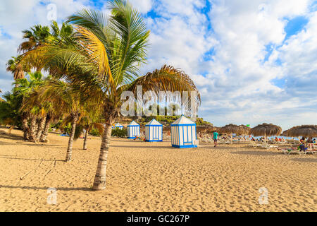 Palmen am exotischen Sandstrand El Duque in Costa Adeje Stadt, Teneriffa, Kanarische Inseln, Spanien Stockfoto