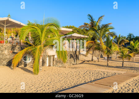 Palmen auf exotischen Strand El Duque in Costa Adeje Stadt, Teneriffa, Kanarische Inseln, Spanien Stockfoto