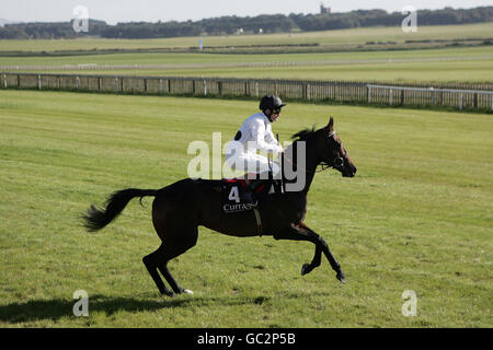 -Die irische täglicher Spiegel Renaissance Stakes - Rennen Curragh Rennbahn Stockfoto