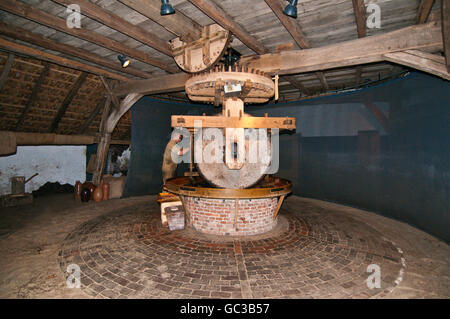 Einem alten Ölstein Mühle, Niederländisches Freilichtmuseum in Arnheim, Holland, Niederlande, Europa Stockfoto